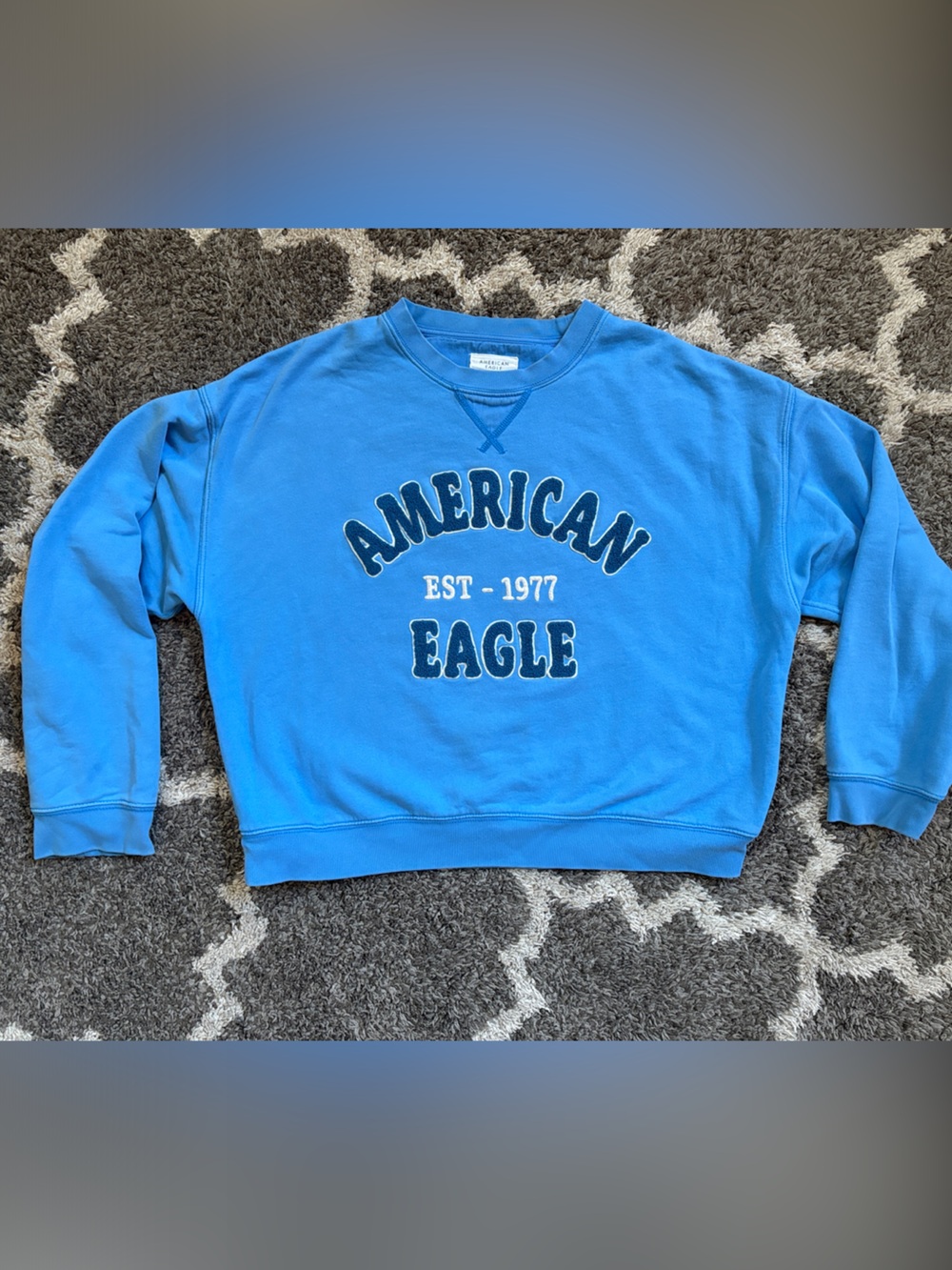 American Eagle Outfitters Bright Blue sweatshirt.
